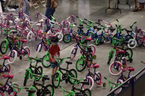 Child surveying the bike options at Bikes for Kids 2017